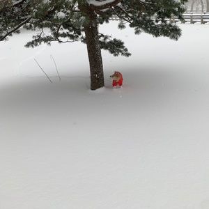 Meet your Posher, Jane